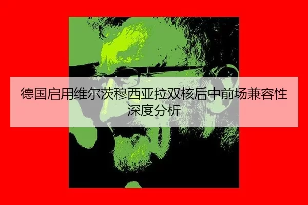 de-guo-qi-yong-wei-er-ci-mu-xi-ya-la-shuang-he-hou-zhong-qian-chang-jian-rong-xing-shen-du-fen-xi-2-859.jpg